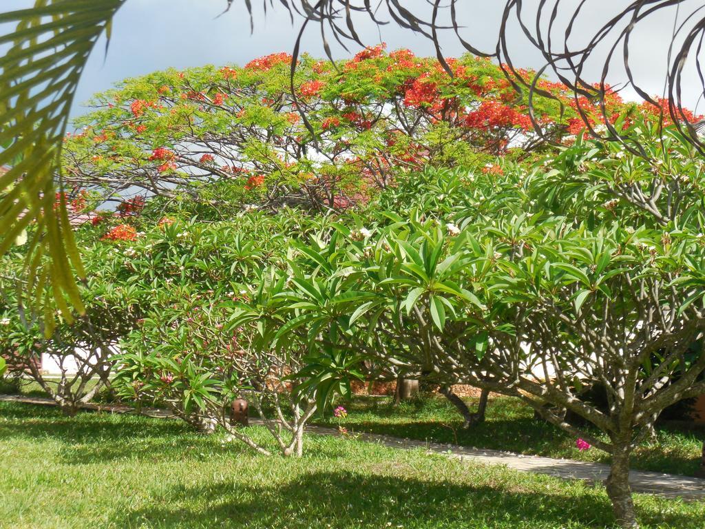 Swahili Beach Resort Zanzibar エクステリア 写真